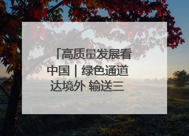高质量发展看中国｜绿色通道达境外 输送三江“一口鲜”