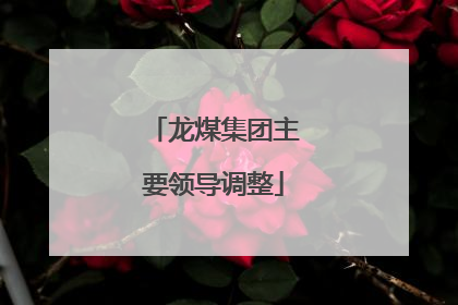 龙煤集团主要领导调整