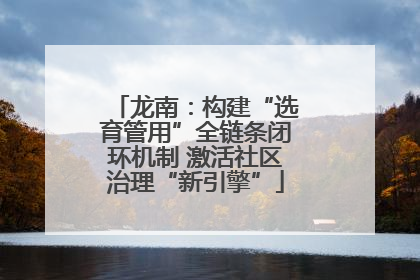 龙南：构建“选育管用”全链条闭环机制 激活社区治理“新引擎”
