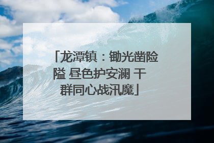 龙潭镇：锄光凿险隘 昼色护安澜 干群同心战汛魔
