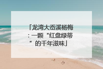 龙湾大岙溪杨梅：一颗“红盘绿蒂”的千年滋味