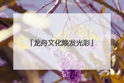 龙舟文化焕发光彩
