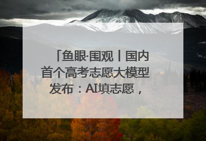 鱼眼·围观丨国内首个高考志愿大模型发布：AI填志愿，靠不靠谱？