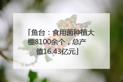 鱼台：食用菌种植大棚8100余个，总产值16.43亿元