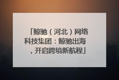 鲸驰（河北）网络科技集团：鲸驰出海，开启跨境新航程