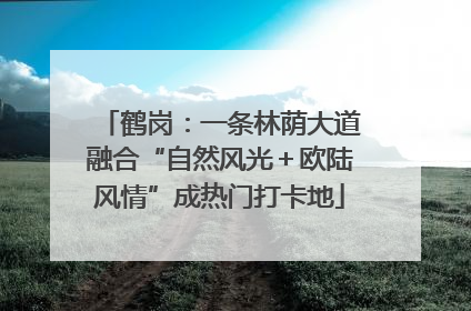 鹤岗：一条林荫大道融合“自然风光＋欧陆风情”成热门打卡地