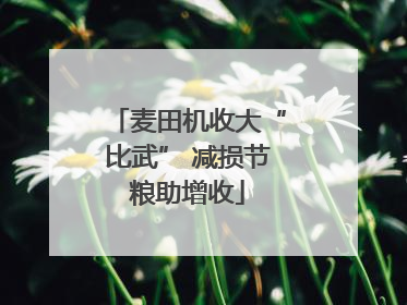 麦田机收大“比武” 减损节粮助增收