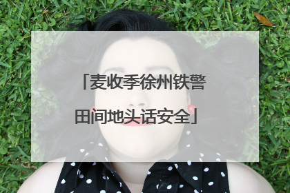 麦收季徐州铁警田间地头话安全