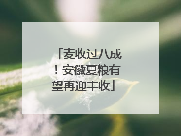 麦收过八成！安徽夏粮有望再迎丰收
