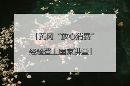 黄冈“放心消费”经验登上国家讲堂