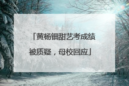 黄杨钿甜艺考成绩被质疑，母校回应
