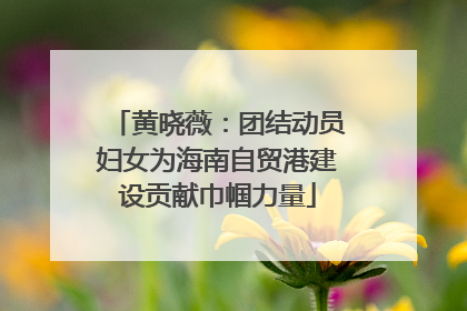 黄晓薇：团结动员妇女为海南自贸港建设贡献巾帼力量