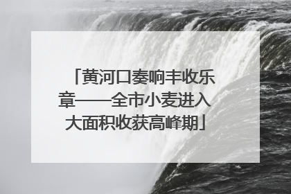 黄河口奏响丰收乐章——全市小麦进入大面积收获高峰期