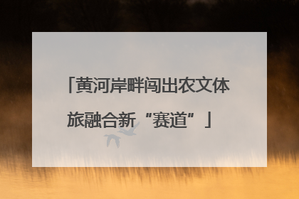 黄河岸畔闯出农文体旅融合新“赛道”
