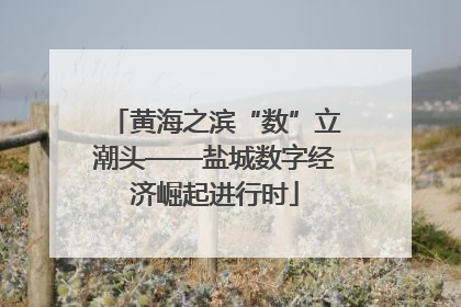黄海之滨“数”立潮头——盐城数字经济崛起进行时