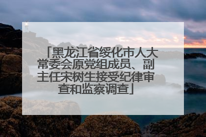 黑龙江省绥化市人大常委会原党组成员、副主任宋树生接受纪律审查和监察调查