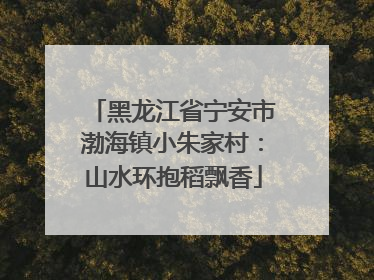 黑龙江省宁安市渤海镇小朱家村：山水环抱稻飘香