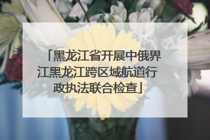 黑龙江省开展中俄界江黑龙江跨区域航道行政执法联合检查