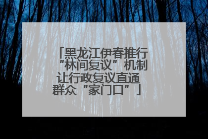 黑龙江伊春推行“林间复议”机制 让行政复议直通群众“家门口”