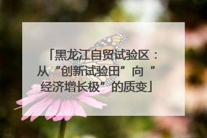 黑龙江自贸试验区：从“创新试验田”向“经济增长极”的质变