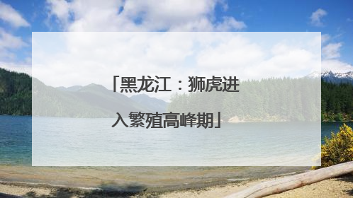 黑龙江：狮虎进入繁殖高峰期