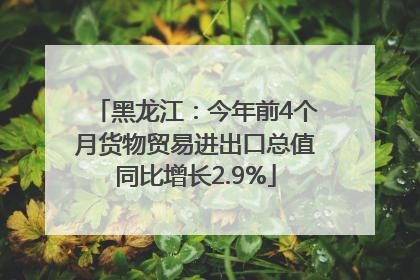 黑龙江：今年前4个月货物贸易进出口总值同比增长2.9%