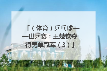 （体育）乒乓球——世乒赛：王楚钦夺得男单冠军（3）