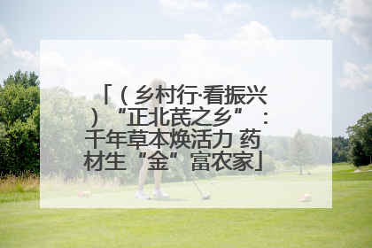 （乡村行·看振兴）“正北芪之乡”：千年草本焕活力 药材生“金”富农家
