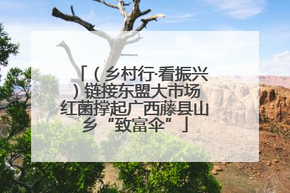 （乡村行·看振兴）链接东盟大市场 红菌撑起广西藤县山乡“致富伞”