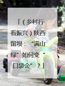 （乡村行·看振兴）陕西留坝：“满山绿”如何变“口袋金”？