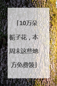 10万朵栀子花，本周末这些地方免费领