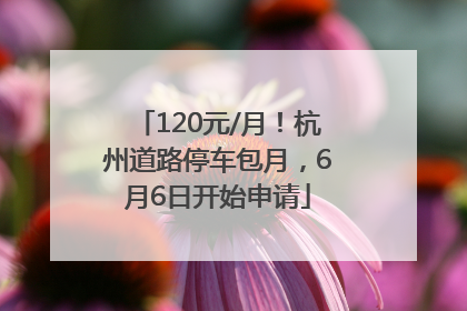 120元/月！杭州道路停车包月，6月6日开始申请