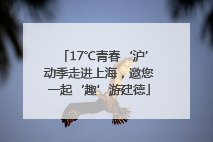 17℃青春‘沪’动季走进上海，邀您一起‘趣’游建德
