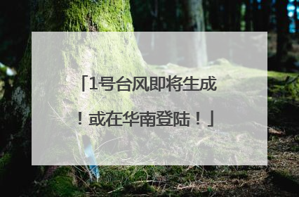 1号台风即将生成！或在华南登陆！