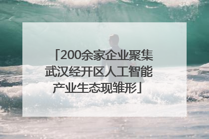200余家企业聚集 武汉经开区人工智能产业生态现雏形