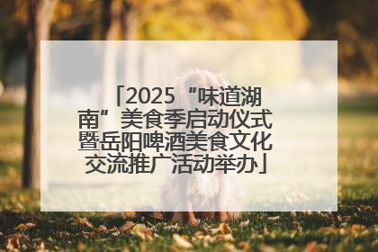 2025“味道湖南”美食季启动仪式暨岳阳啤酒美食文化交流推广活动举办