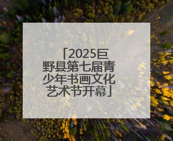 2025巨野县第七届青少年书画文化艺术节开幕
