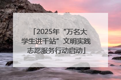 2025年“万名大学生进千站”文明实践志愿服务行动启动