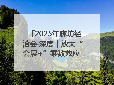 2025年廊坊经洽会·深度｜放大“会展+”乘数效应 打造消费新场景