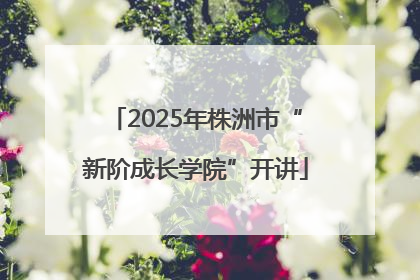 2025年株洲市“新阶成长学院”开讲
