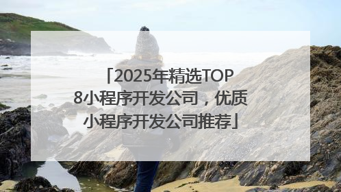 2025年精选TOP8小程序开发公司，优质小程序开发公司推荐