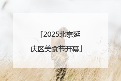 2025北京延庆区美食节开幕