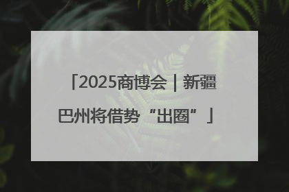 2025商博会｜新疆巴州将借势“出圈”