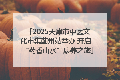 2025天津市中医文化市集蓟州站举办 开启“药香山水”康养之旅