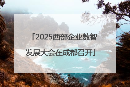 2025西部企业数智发展大会在成都召开