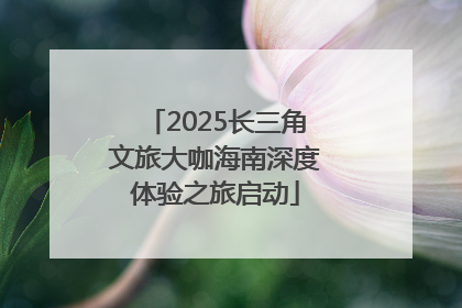 2025长三角文旅大咖海南深度体验之旅启动