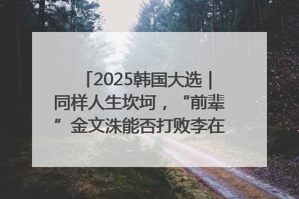 2025韩国大选｜同样人生坎坷，“前辈”金文洙能否打败李在明“逆风翻盘”？