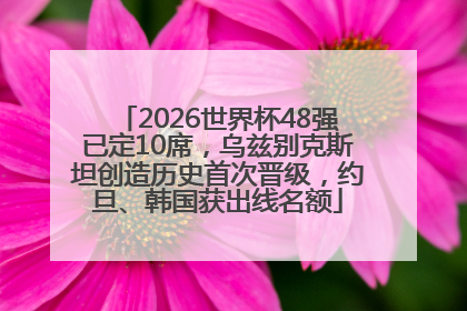 2026世界杯48强已定10席，乌兹别克斯坦创造历史首次晋级，约旦、韩国获出线名额