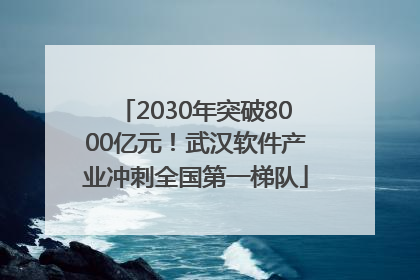 2030年突破8000亿元！武汉软件产业冲刺全国第一梯队