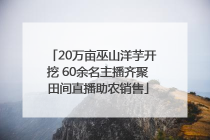 20万亩巫山洋芋开挖 60余名主播齐聚田间直播助农销售